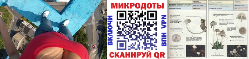 Псилоцибиновые грибы Psilocybe  blacksprut как войти  Ахтырский 